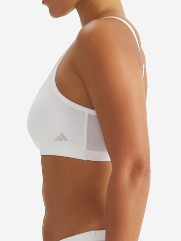 ADIDAS ORIGINALS Bustier BH ' Sport Active Modal Comfort ' in Wit