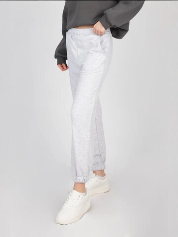 Regular Pantalon Hiccup en gris