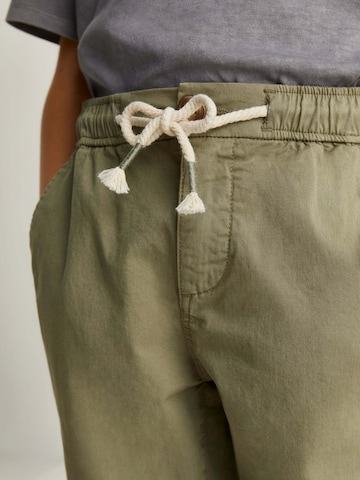 Scalpers Regular Pants in Green