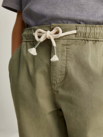 Scalpers Regular Trousers in Green