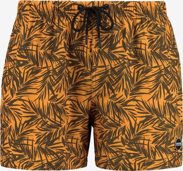 Shiwi Plavecké šortky 'Bamboo' – oranžová: přední strana