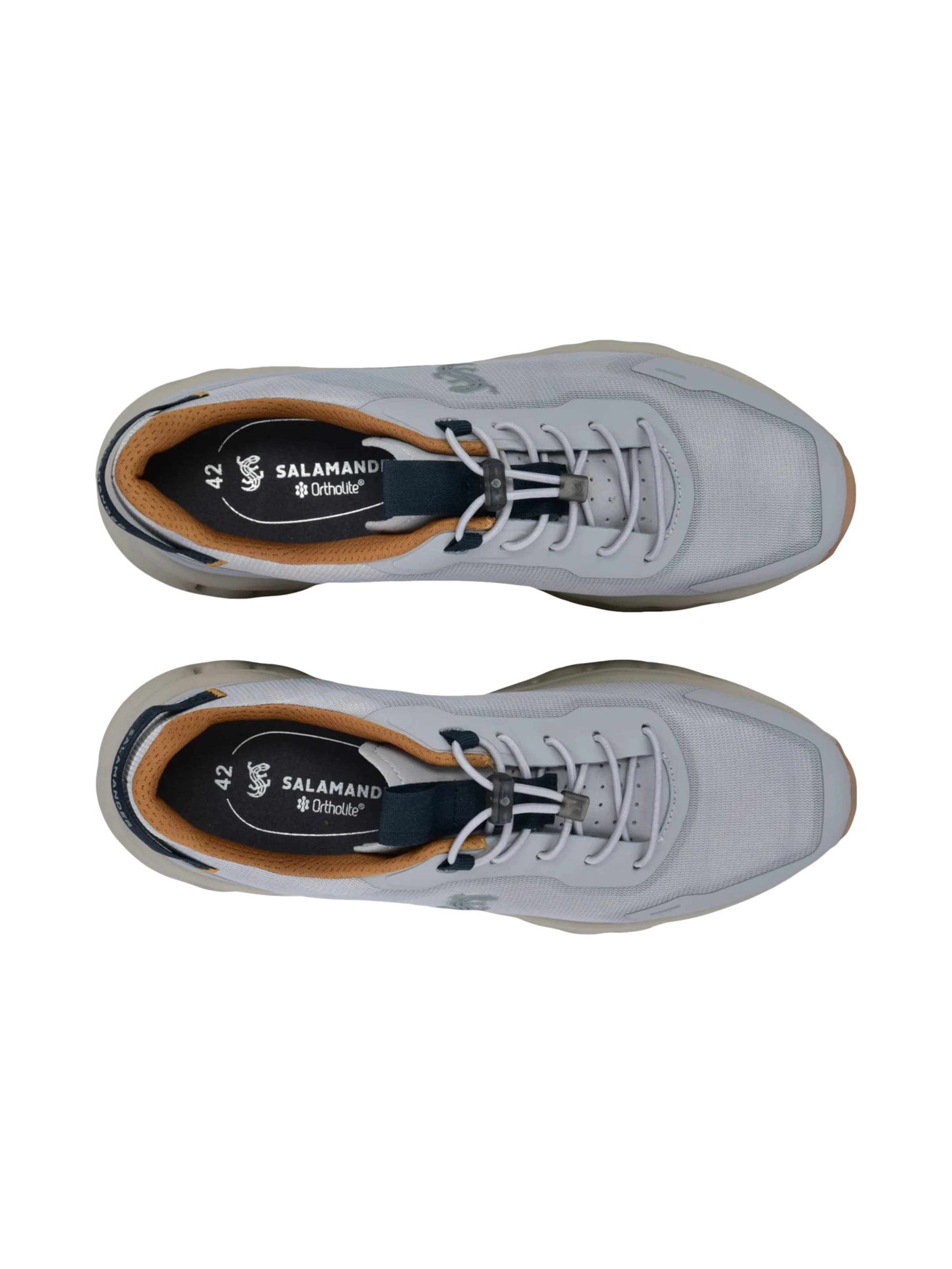 Sneaker bassa di SALAMANDER in grigio