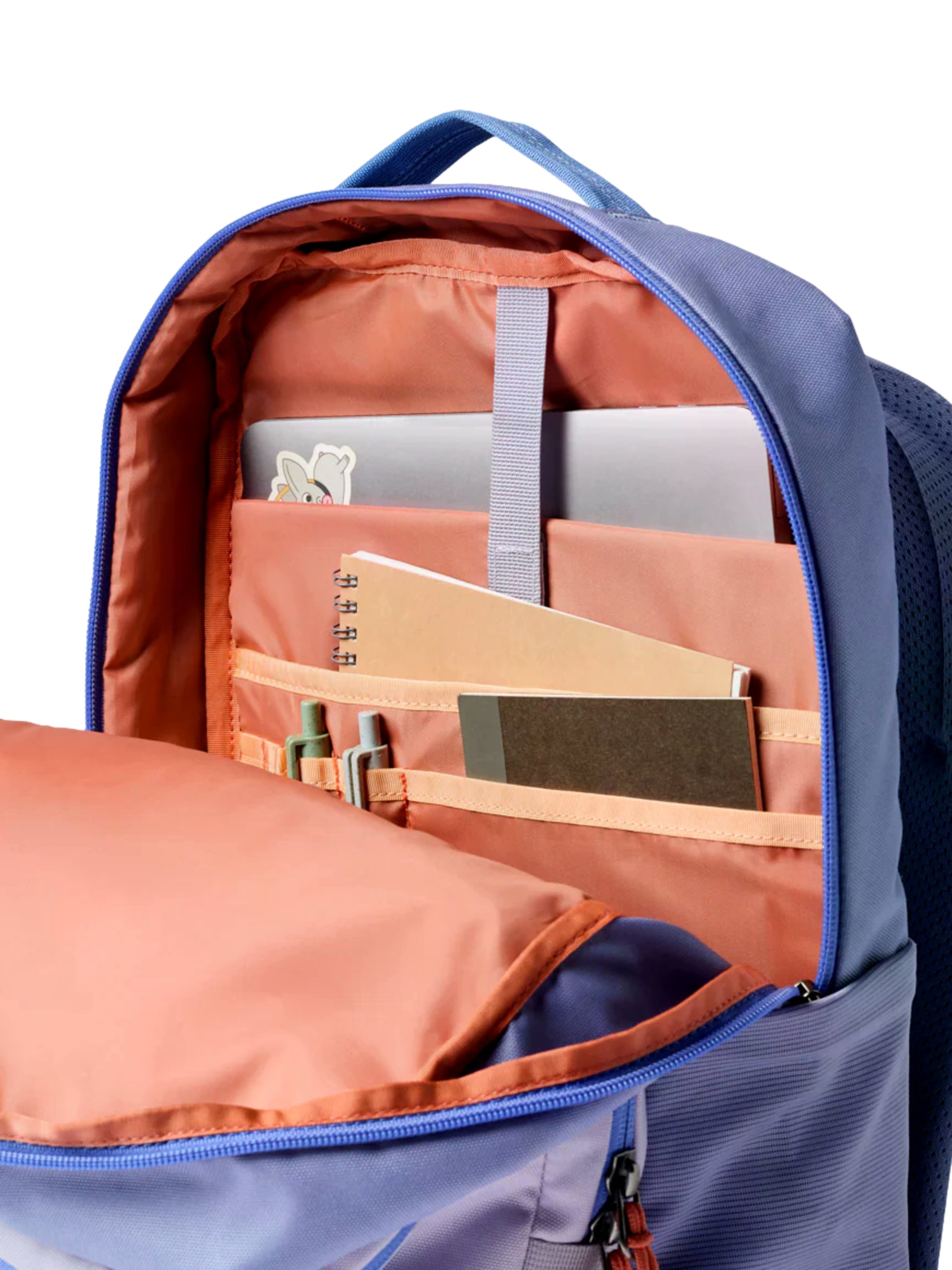 cotopaxi Rucksack 'Tasra' in Lila
