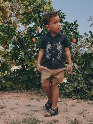 Coupe regular Chemise Next en noir : devant