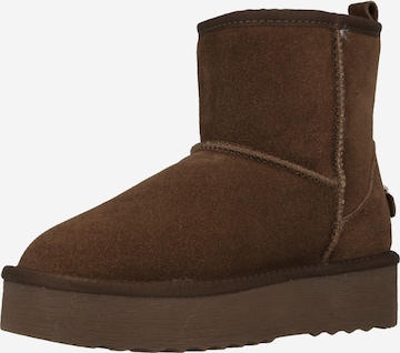 Boots 'Tessah' STEVE MADDEN en marron : devant