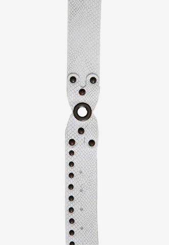 CIPO & BAXX Belt in White