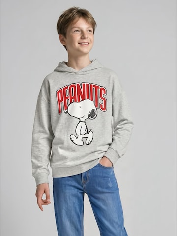 TOM TAILOR Sweatshirt 'Peanuts' in Grey: front