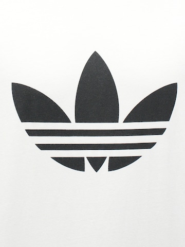 ADIDAS ORIGINALS Koszulka 'Adicolor Trefoil' w kolorze biały