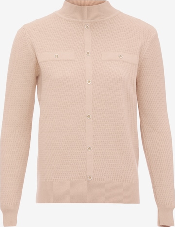 carato Sweater in Pink: front
