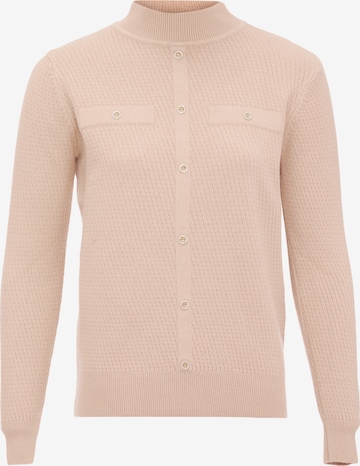 carato Pullover in Pink: predná strana