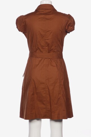 APART Dress in XXL in Brown
