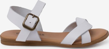 Sandalo di Pisamonas in bianco: frontale