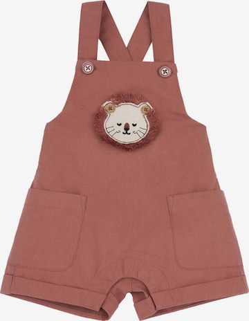 Chicco Regular Haalari värissä punainen: etupuoli