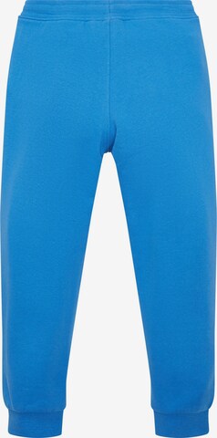 TOM TAILOR Tapered Pants in Blue