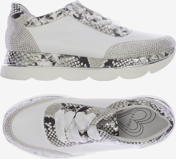 CAFÈNOIR Sneakers & Trainers in 39 in White: front