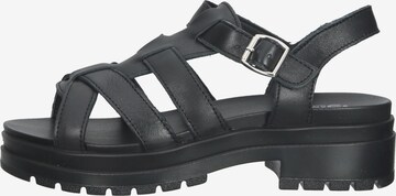 IGI&CO Strap Sandals in Black