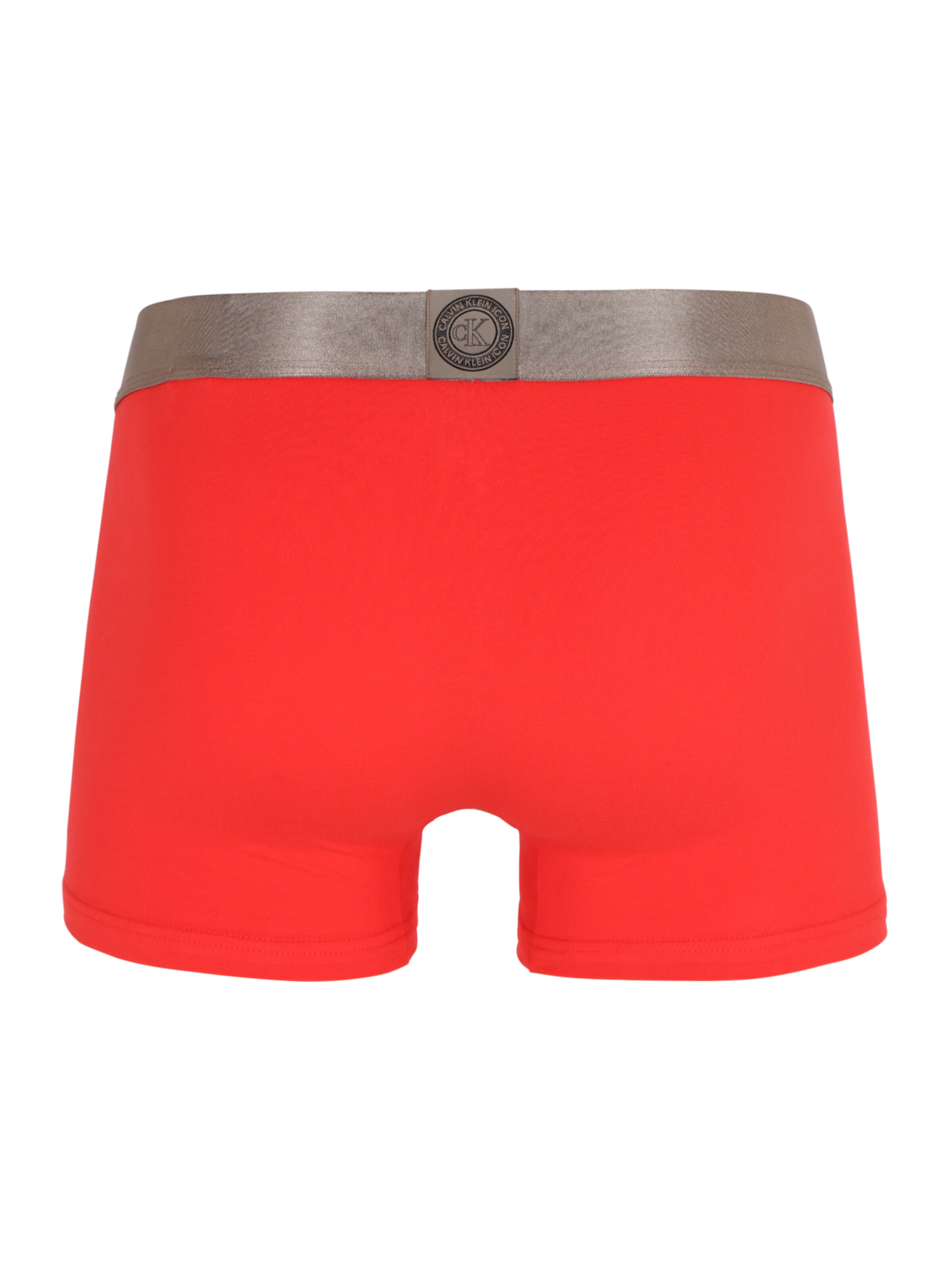 Az5xx Donna Calvin Klein Underwear Slip in Rosso 