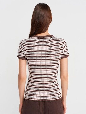 Dilvin Sweater in Brown