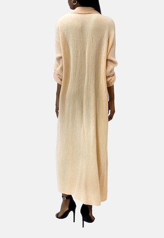 Elara Blusenkleid in Beige