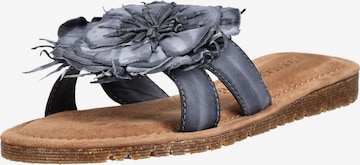 Zoccoletto di LAZAMANI in grigio: frontale