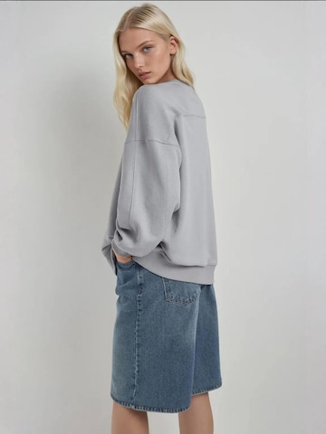 Hiccup Sweatshirt in Grau