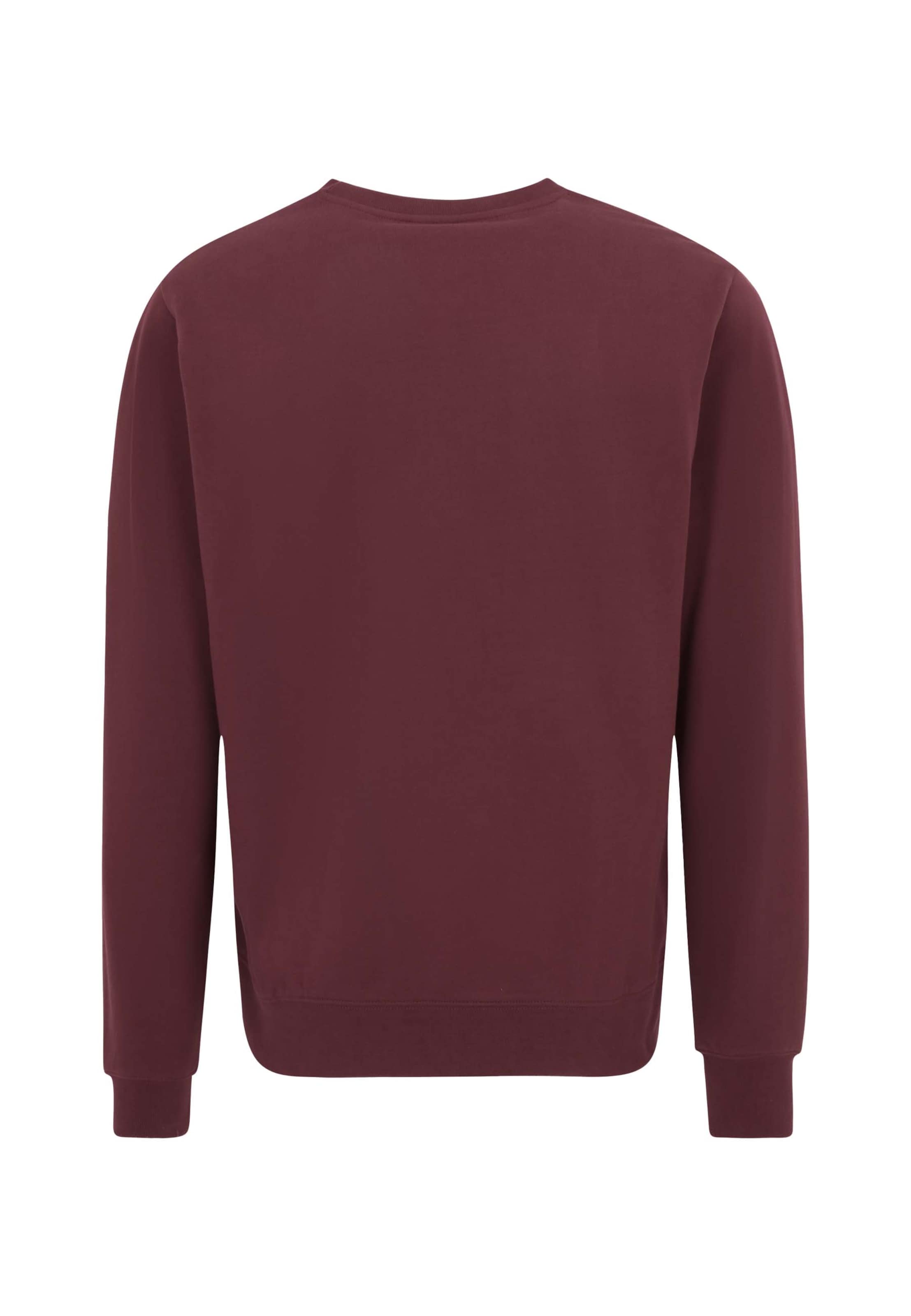 Oldskull Sweatshirt in Red