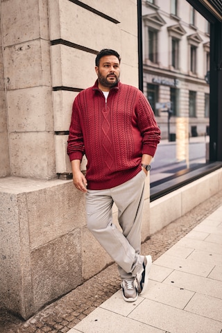 Men Plus Pullover in Rot