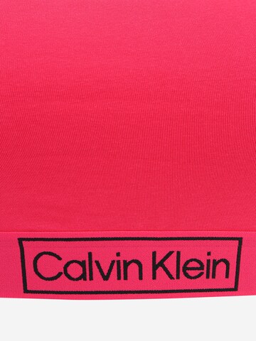 Bustier Soutien-gorge Calvin Klein Underwear Plus en rose