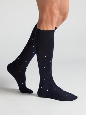 IUMAN Intimissimi Uomo Socks in Blue: front