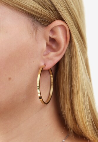Steelwear Earrings in Gold