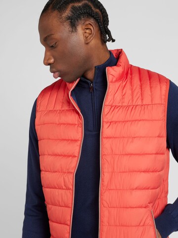 Hackett London Bodywarmer in Oranje