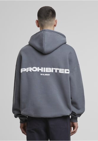 Prohibited Sweatshirt i grå