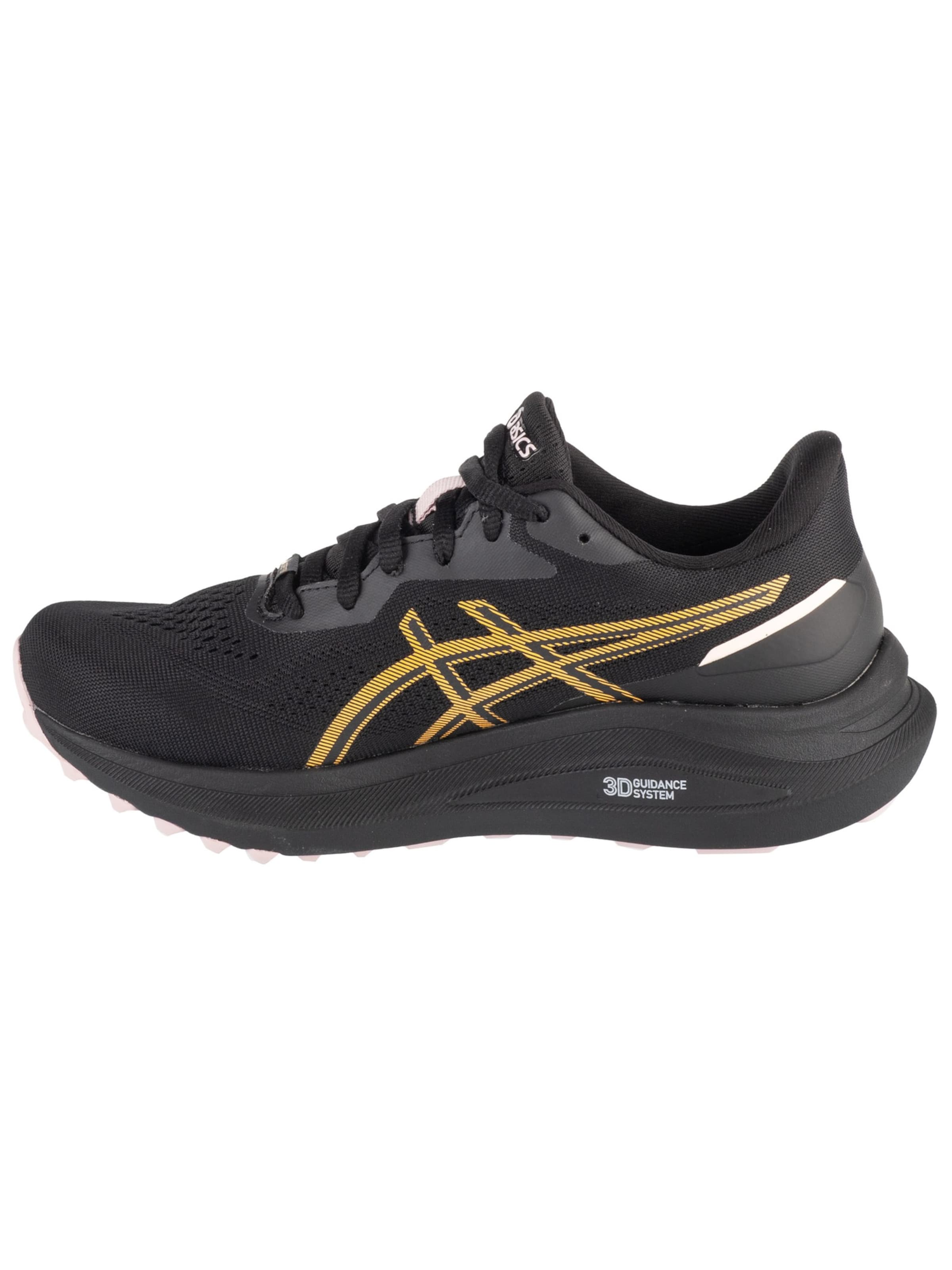 ASICS Laufschuh 'GT-1000 13 GTX'‌‌‌‌‌‌‌‌‌‌ in schwarz, Produktansicht