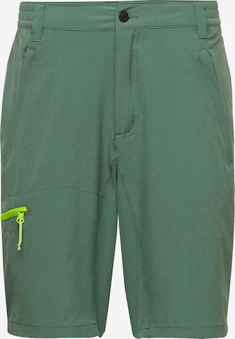 Pantaloni per outdoor 'BERWYN' di ICEPEAK in verde: frontale