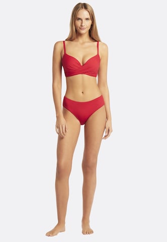 SEA LEVEL Push-up Bikinitop 'Essentials' in Rot