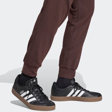 ADIDAS SPORTSWEAR Tapered Sporthose in Braun