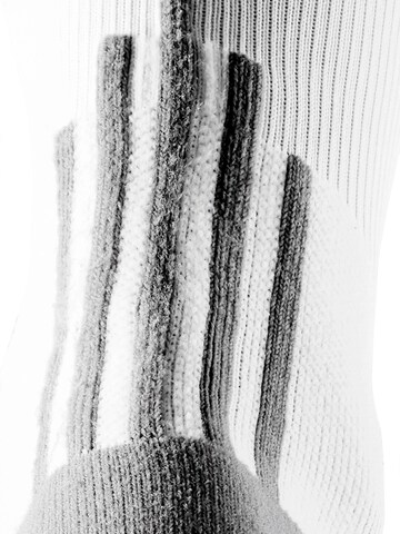 Chaussettes 'PRO-TECH SOCK 3 PACK' liiteGuard en blanc
