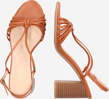 ABOUT YOU Sandals 'Celina' in Brown