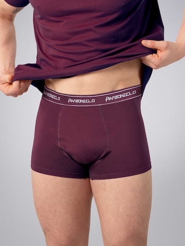 PANTONECLO Boxer shorts 'Pantoneclo Men’s Boxer Underwear' in Red