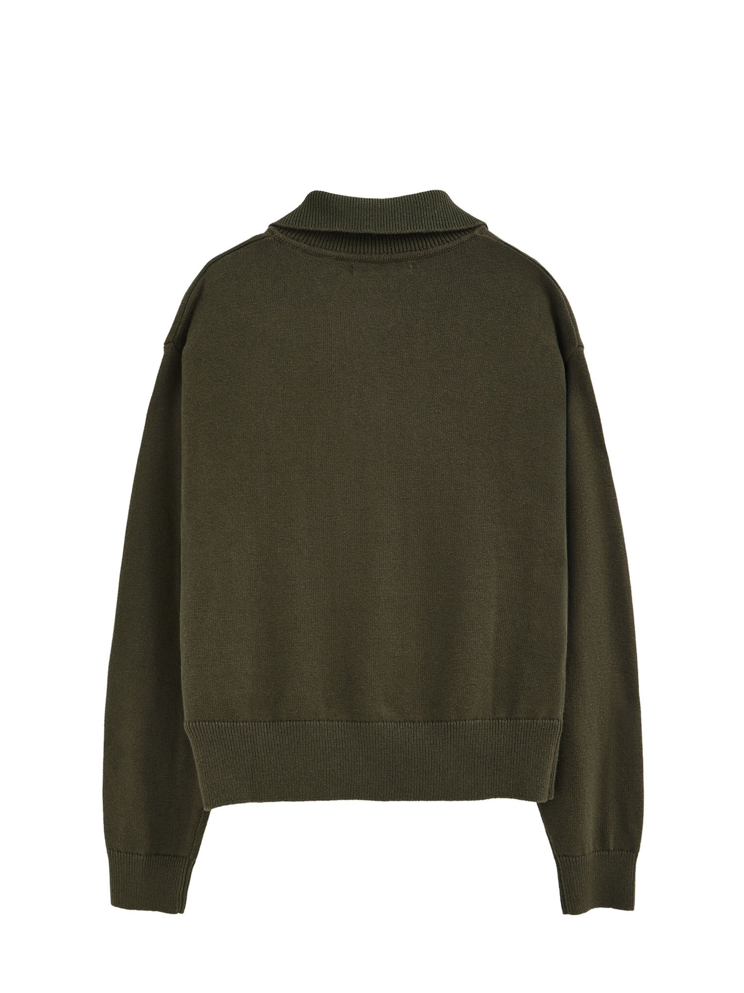 Polo Club Pullover 'RIGBY' in Grün