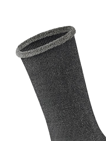 ESPRIT Socken‌‌‌‌ in Schwarz