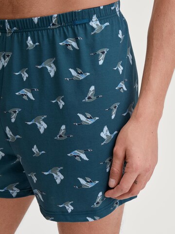 CALIDA Boxer shorts 'Prints' in Blue