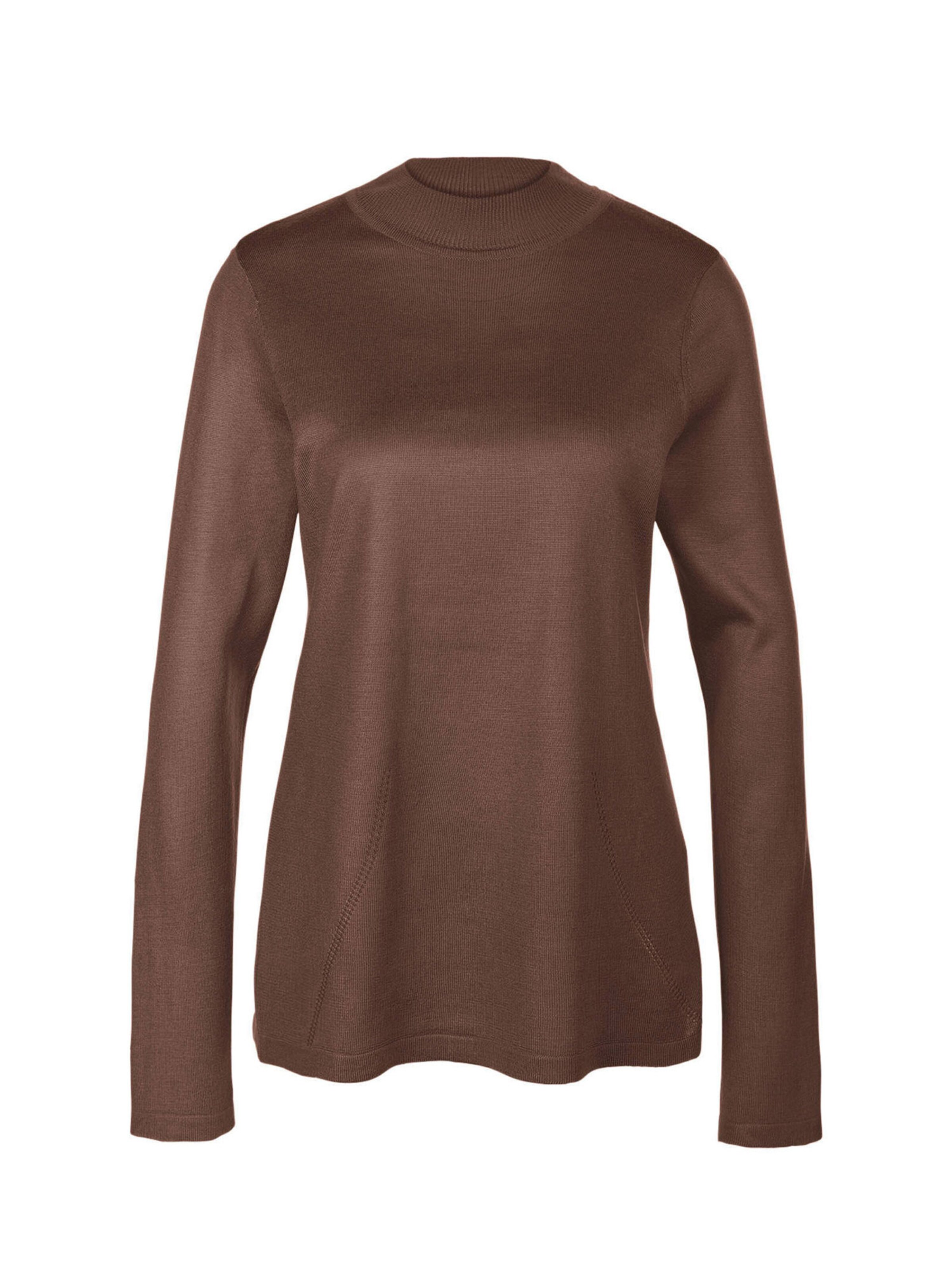Goldner Sweater in Brown: front