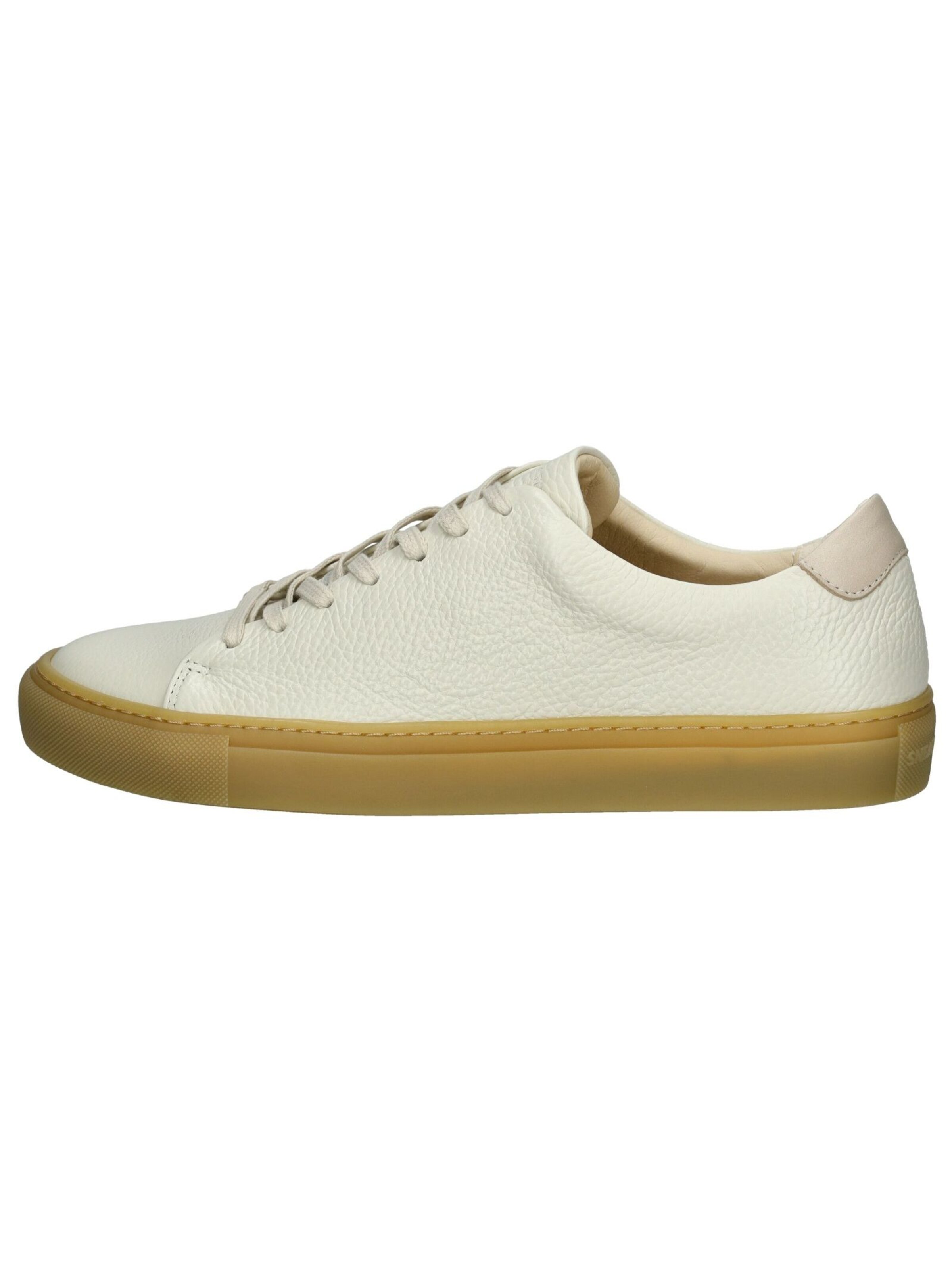 Baskets basses Sneaky Steve en gris