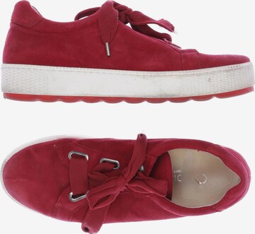 GABOR Sneakers & Trainers in 42,5 in Red: front