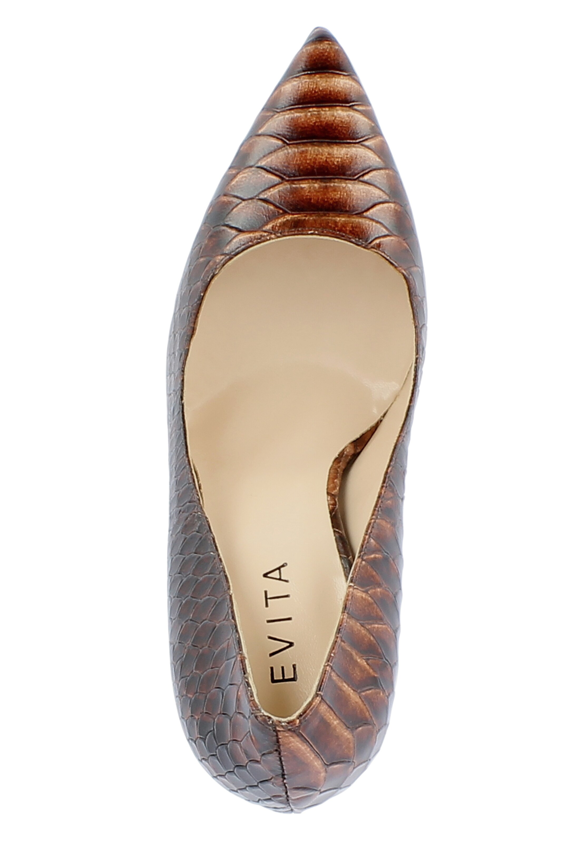 EVITA Pumps in Bruin