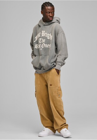 Fast & Bright Sweatshirt in Grau
