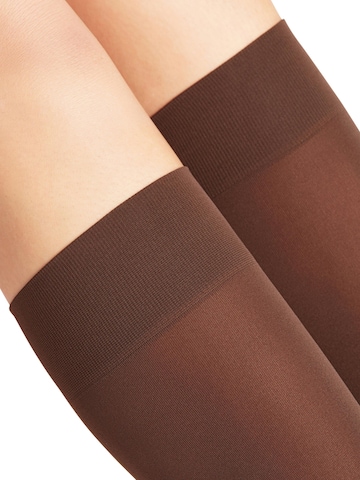 FALKE Overknee Strümpfe 'Pure Matt'‌‌‌‌‌‌‌‌‌‌ in Braun