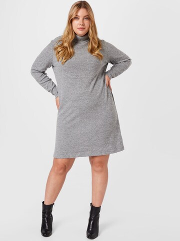 ONLY Carmakoma - Vestido 'Frila' en gris: frente