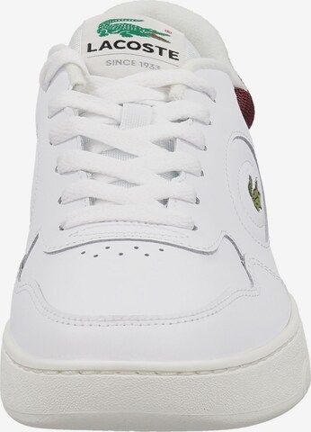 Baskets basses 'Lineset' LACOSTE en blanc